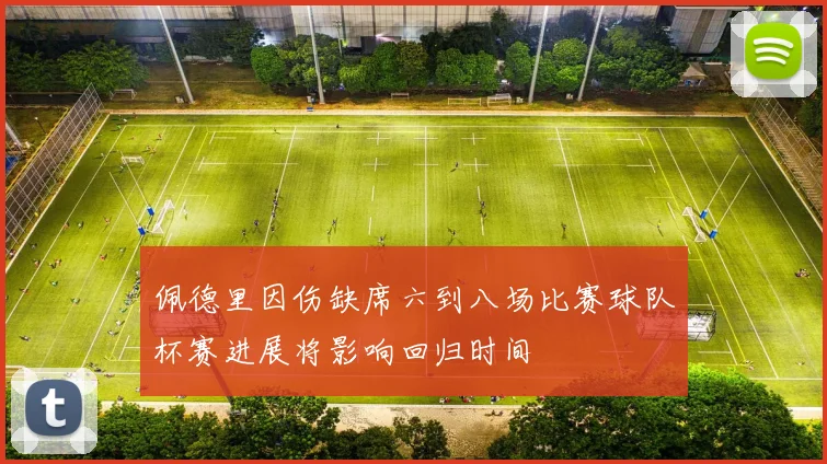 佩德里因伤缺席六到八场比赛球队杯赛进展将影响回归时间